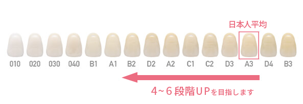 日本人平均　4〜6段階UPを目指します