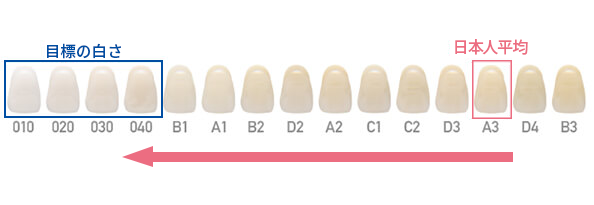 目標の白さ　日本人平均