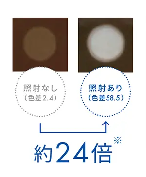 照射ありで、なしの約24倍の白さに。