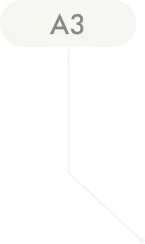 A3