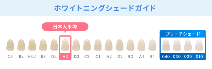 ホワイトニングシェードガイド