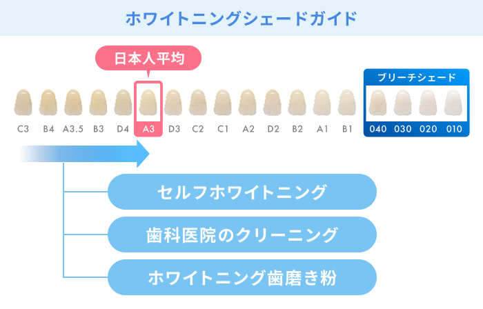 ホワイトニングの効果の一つである「歯の本来の白さに戻す」はA3レベルの白さを目指すことが期待できる