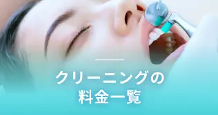 クリーニングの料金一覧
