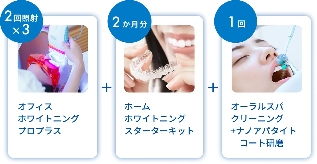 ホワイトエッセンスコース ライトの内容
