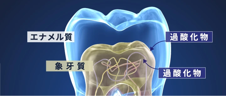 歯の色が黄ばんで見える理由を説明した画像