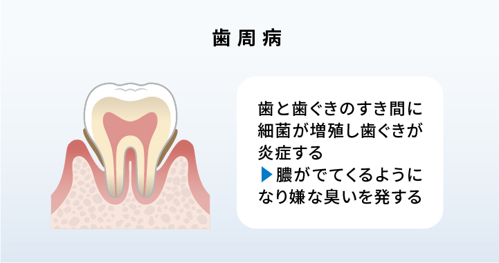 当店のパンケーキの写真。イチゴとベリーが添えられている。